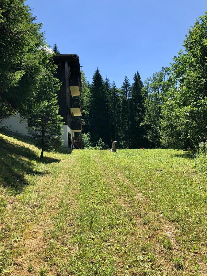 Chalet Riviere Du Bon Nant Location De 6 A 14 Personnes En Haute Savoie Saint-Gervais-les-Bains Luaran gambar