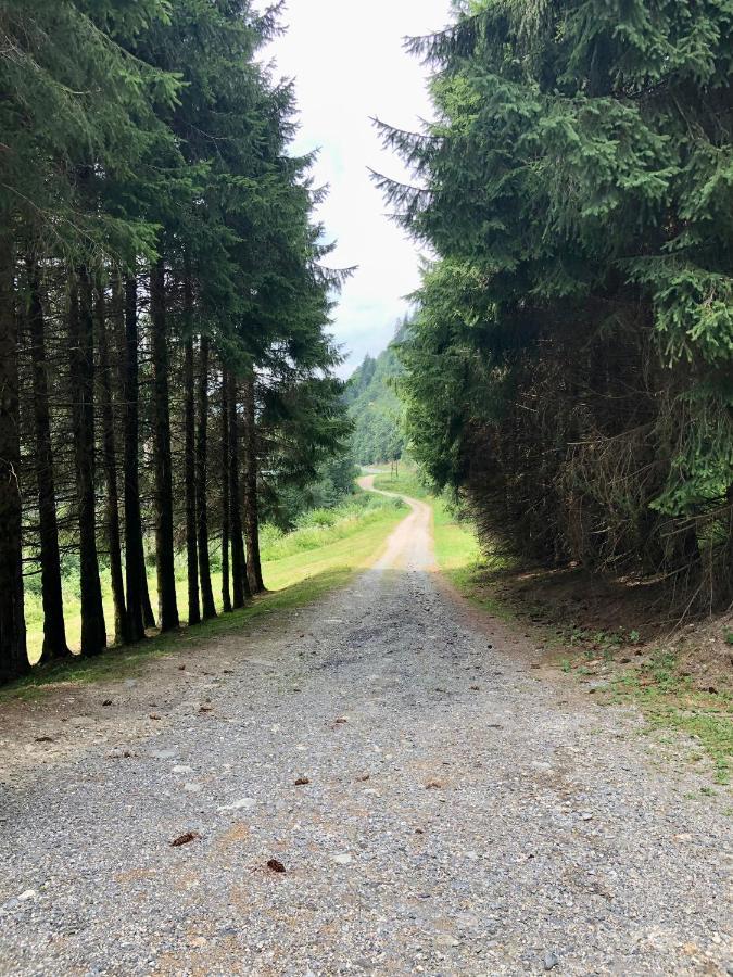 Chalet Riviere Du Bon Nant Location De 6 A 14 Personnes En Haute Savoie Saint-Gervais-les-Bains Luaran gambar