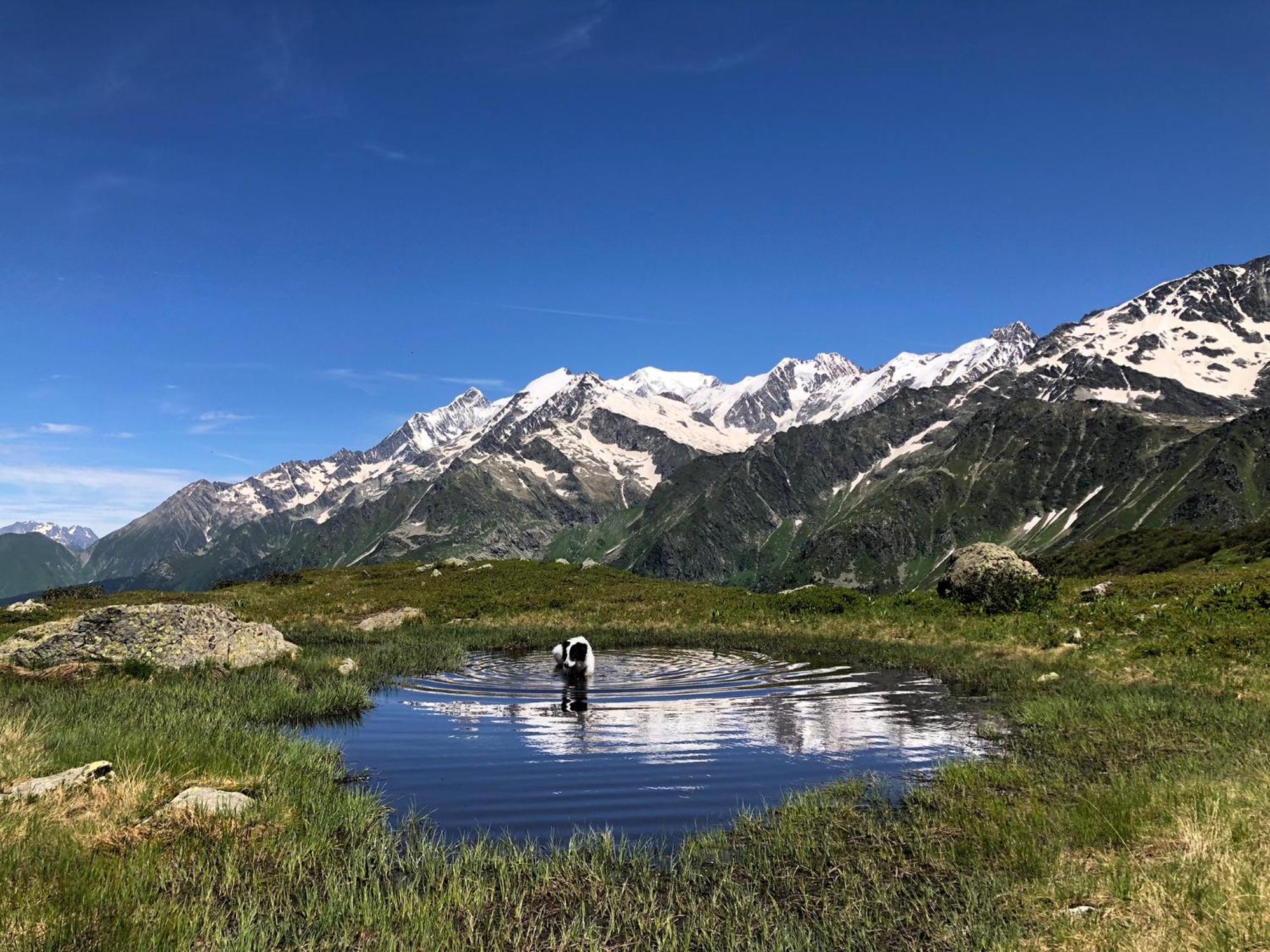 Chalet Riviere Du Bon Nant Location De 6 A 14 Personnes En Haute Savoie Saint-Gervais-les-Bains Luaran gambar