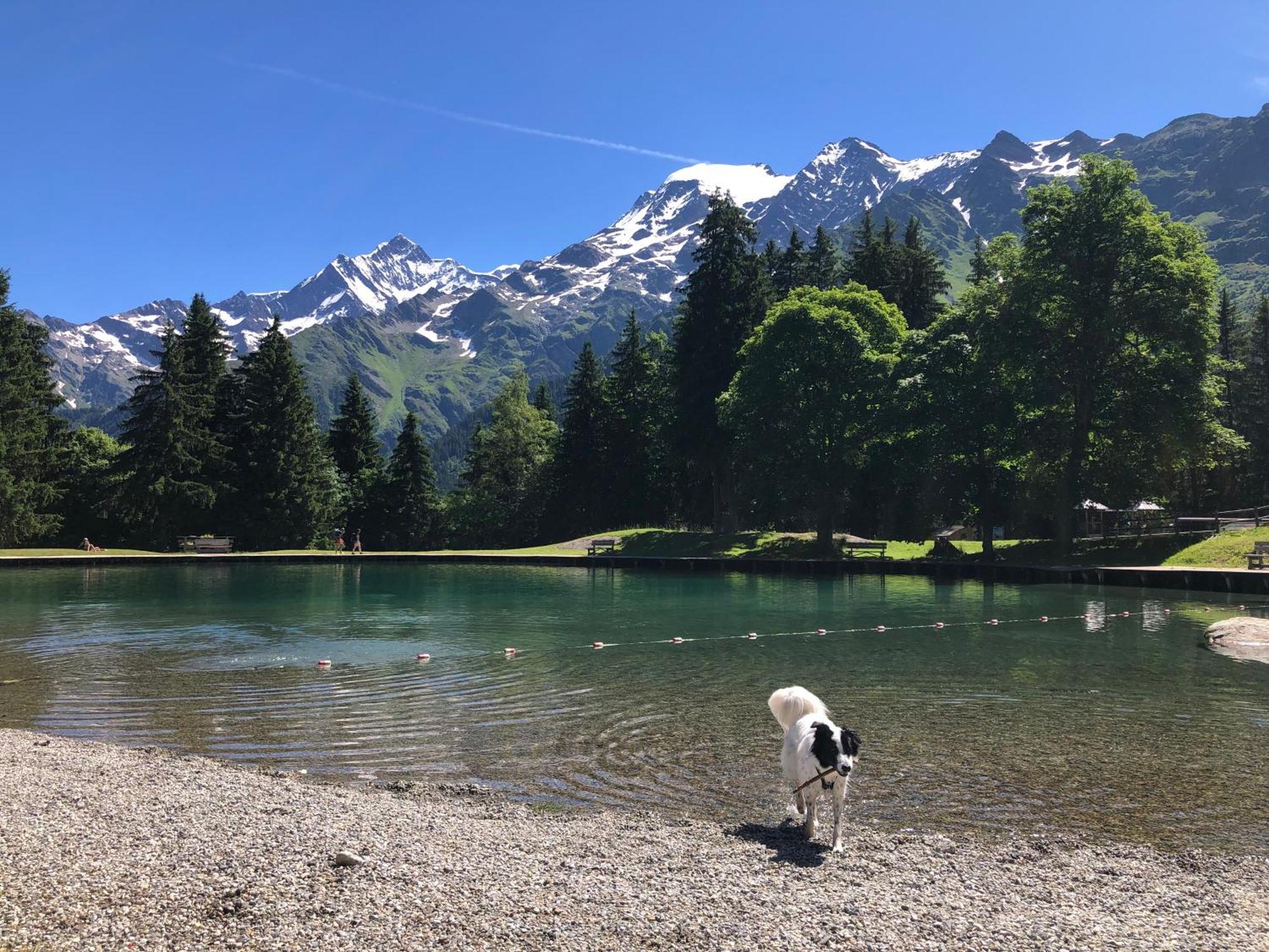Chalet Riviere Du Bon Nant Location De 6 A 14 Personnes En Haute Savoie Saint-Gervais-les-Bains Luaran gambar