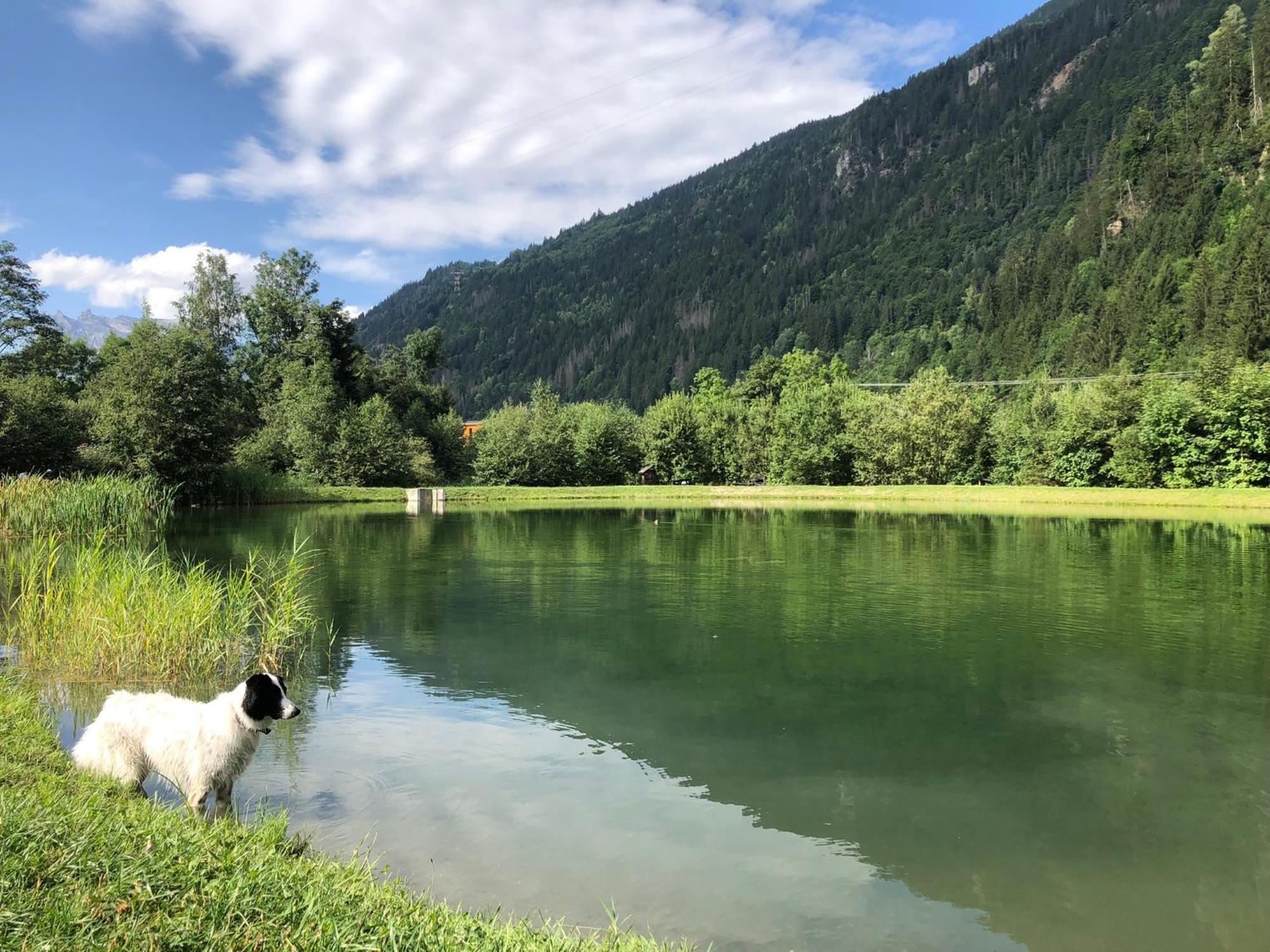 Chalet Riviere Du Bon Nant Location De 6 A 14 Personnes En Haute Savoie Saint-Gervais-les-Bains Luaran gambar