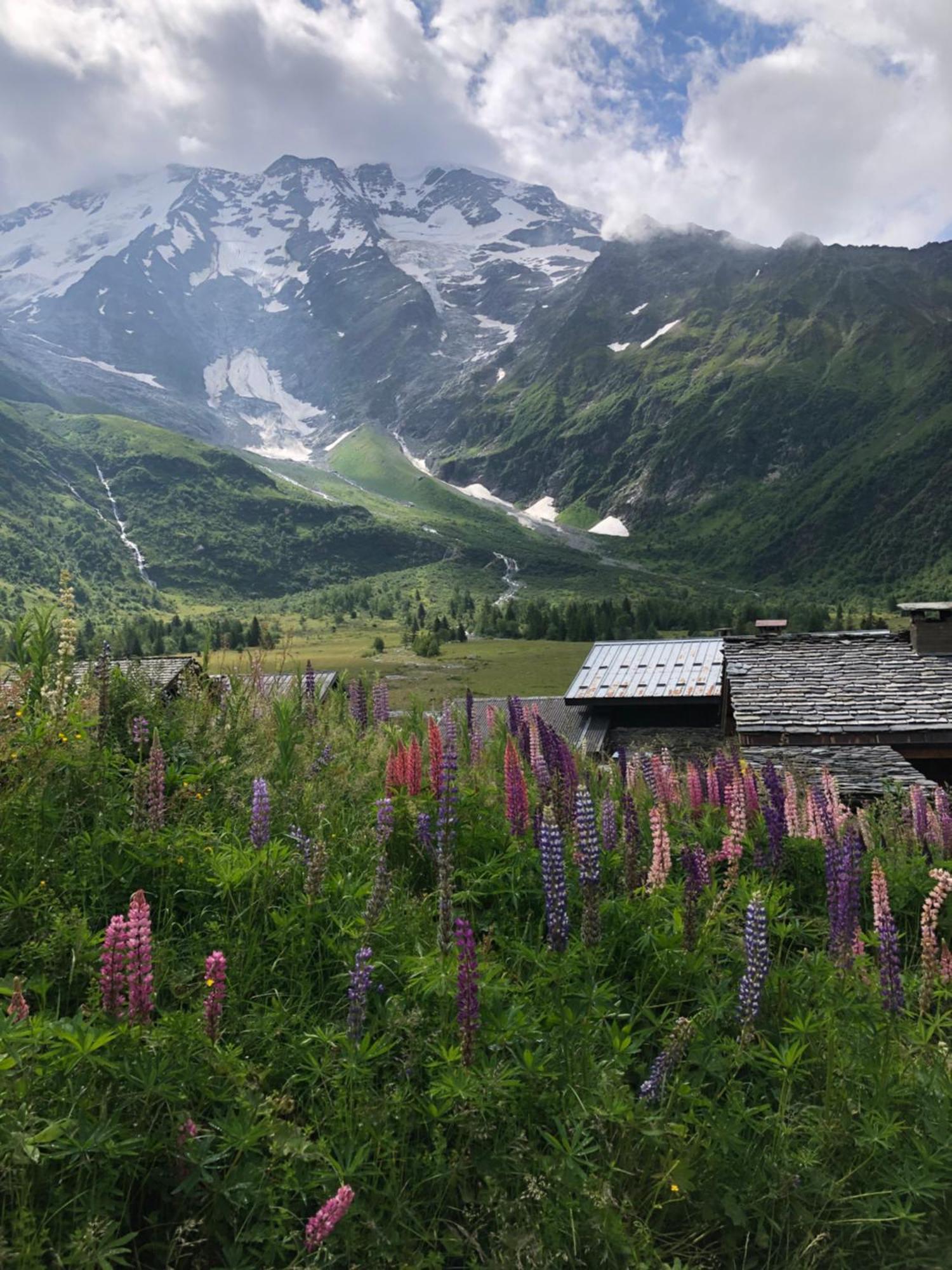 Chalet Riviere Du Bon Nant Location De 6 A 14 Personnes En Haute Savoie Saint-Gervais-les-Bains Luaran gambar