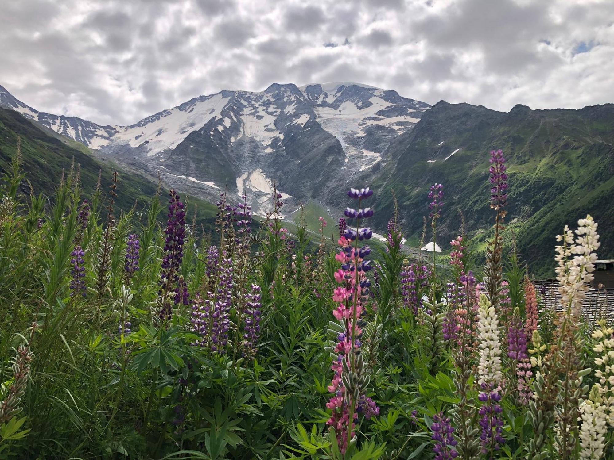 Chalet Riviere Du Bon Nant Location De 6 A 14 Personnes En Haute Savoie Saint-Gervais-les-Bains Luaran gambar