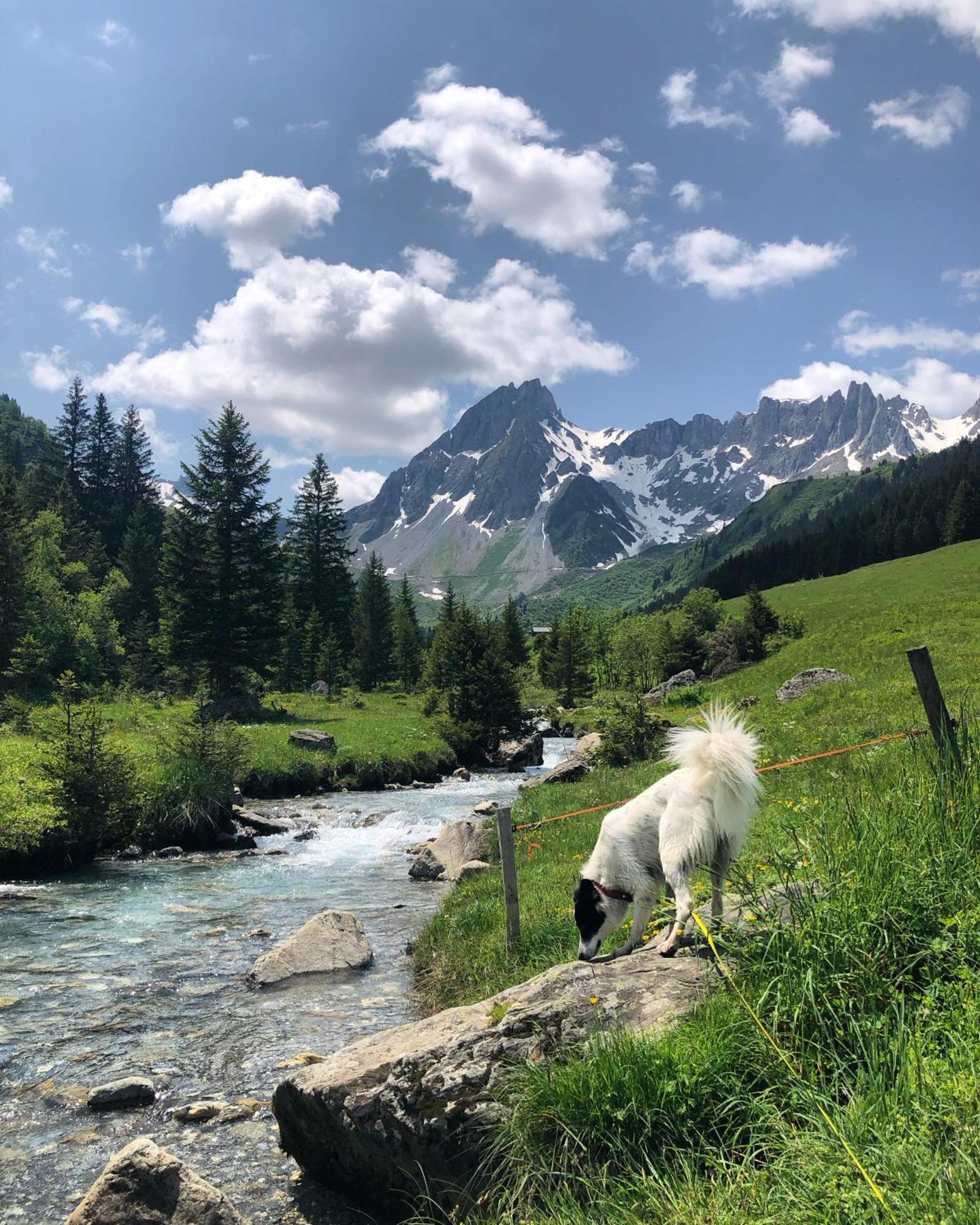 Chalet Riviere Du Bon Nant Location De 6 A 14 Personnes En Haute Savoie Saint-Gervais-les-Bains Luaran gambar